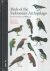 Portada de Birds of the Indonesian Archipelago, de James A. ... [et al.] Eaton