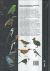 Contraportada de Birds of the Indonesian Archipelago, de James A. ... [et al.] Eaton