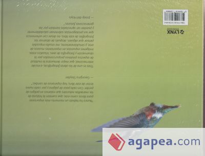 Portfolio 1: Fotografías e historias de aves extraordinarias