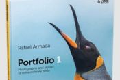 Portada de Portfolio 1: Photographs and stories of extraordinary birds