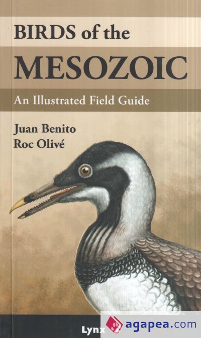 Birds of the mesozoic