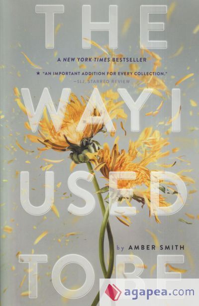 The Way I Used to Be