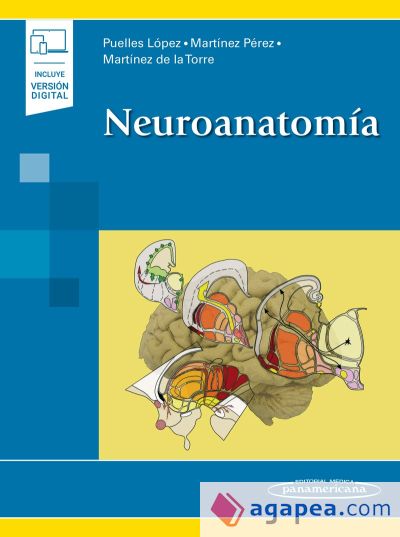 NEUROANATOMIA