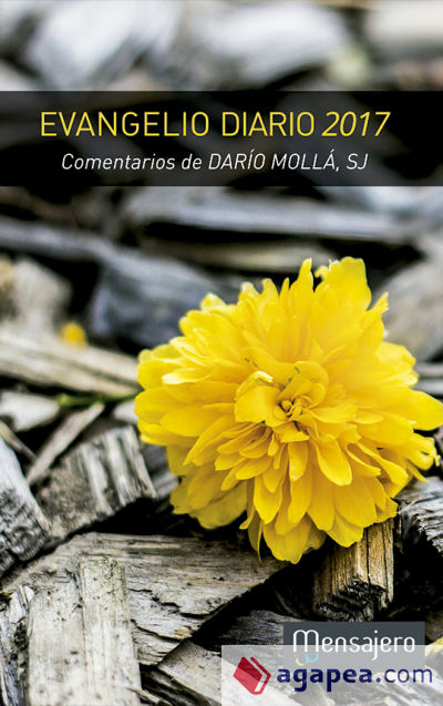 EVANGELIO DIARIO 2017 COMENTARIOS DE DARIO MOLLA, SJ