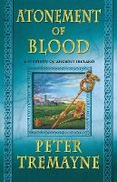 Portada de Atonement of Blood: A Mystery of Ancient Ireland
