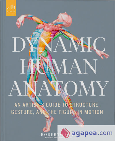 Dynamic Human Anatomy: An Artist's Guide to Structure, Gesture, and the Figure in Motion