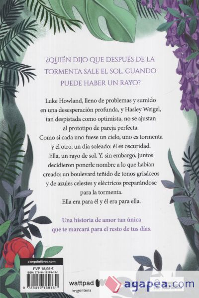 Boulevard Libro 1. La versión de Flor (Boulevard 1)