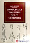 MORFOLOGIA EVOLUTIVA DE LOS CORDADOS