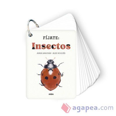 Fíjate: insectos: Pequeña guía para iniciarse en la observación de insectos Fíjate: insectos: Pequeña guía para iniciarse en la observación de insectos