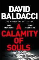 Portada de A Calamity of Souls