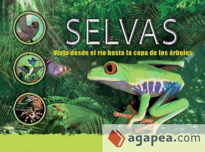 Selvas: asombrosos 3D