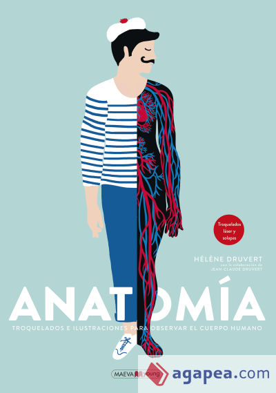 Anatomia