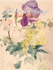 Manet: Drawings Colour Plates (Ebook)