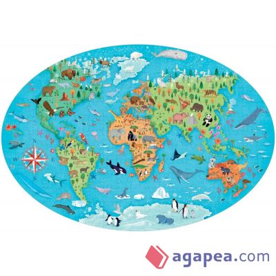 Travel, learn, explore - The world of animal
