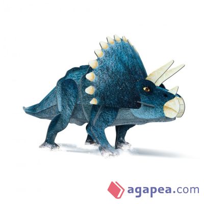 Triceratops - 3D