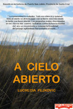 Portada de A cielo abierto (Ebook)