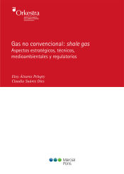 Portada de Gas no convencional : shale gas