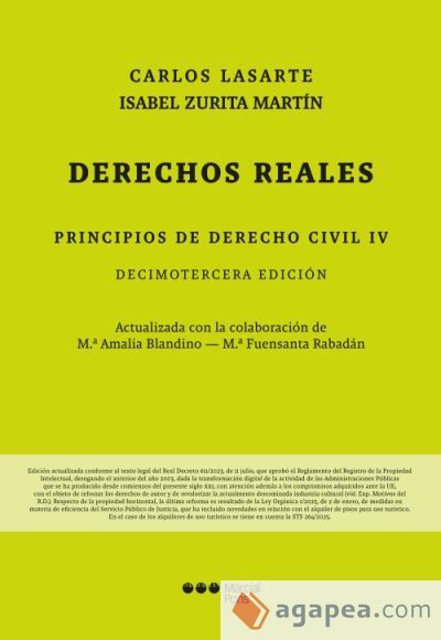 Principios de Derecho Civil Tomo IV. Derechos reales