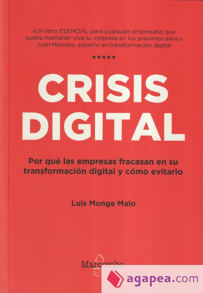 Crisis digital: Por qué las empresas fracasan en su transformación digital y cómo evitarlo