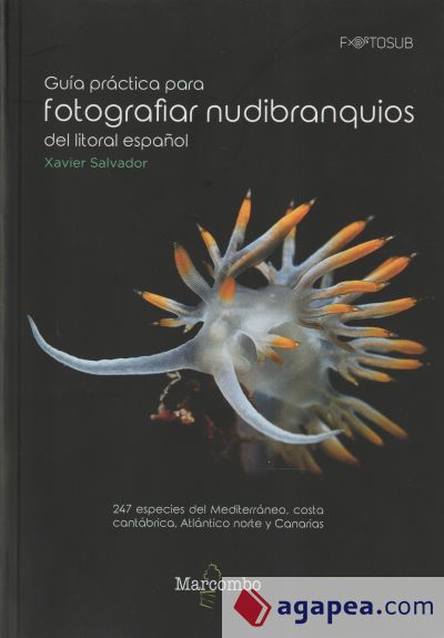 Guía práctica para fotografiar nudibranquios del litoral español