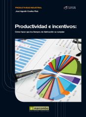 Portada de Productividad e Incentivos