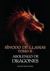 Portada de S&iacute;nodo de llamas