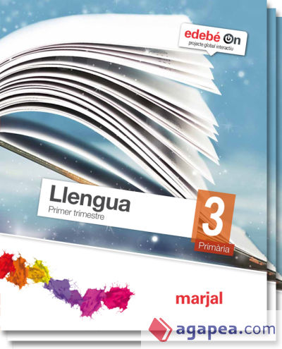 LLENGUA 3