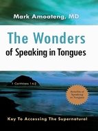 Portada de The Wonders of Speaking in Tongues (Ebook)