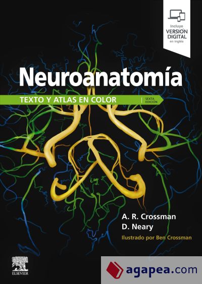 NEUROANATOMÍA. Texto y atlás en color