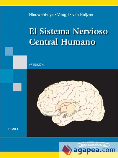 El sistema Nervioso Central Humano