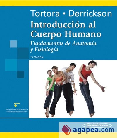 Introducci&oacute;n al Cuerpo Humano
