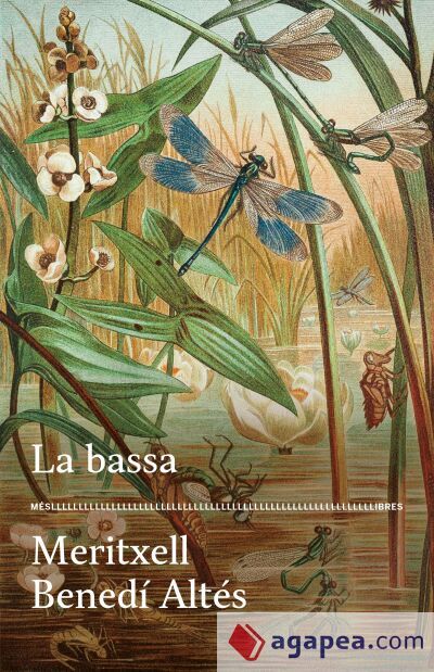 La bassa La bassa