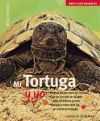 Mi tortuga y yo