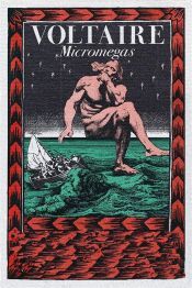 Portada de Micromegas - Espanol (Ebook)