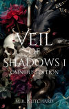 Veil Of Shadows I