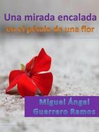 Portada de Una mirada encalada en el pétalo de una flor (Ebook)