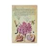 Mira Botanica / Pink Carnation / Mini / Lined (9781439797297)