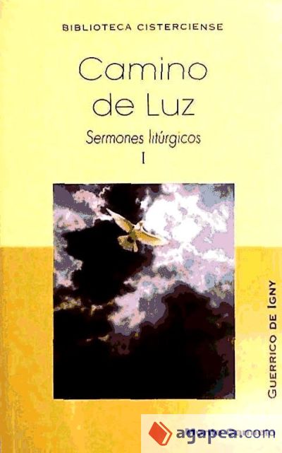 Camino de Luz