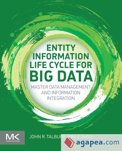 Entity Information Life Cycle for Big Data