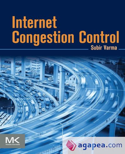 Internet Congestion Control