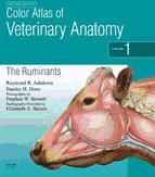 Portada de Color Atlas of Veterinary Anatomy, Volume 1, The Ruminants E-Book (Ebook)