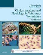 Portada de Clinical Anatomy and Physiology for Veterinary Technicians - E-Book (Ebook)