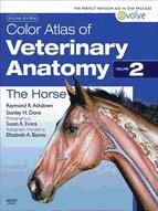 Portada de Color Atlas of Veterinary Anatomy, Volume 2, The Horse - E-BOOK (Ebook)