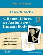 Portada de Flashcards for Bones, Joints, and Actions of the Human Body - E-Book (Ebook)