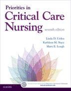 Portada de Priorities in Critical Care Nursing - E-Book (Ebook)