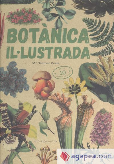 Botànica Il·lustrada