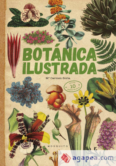 Botánica ilustrada