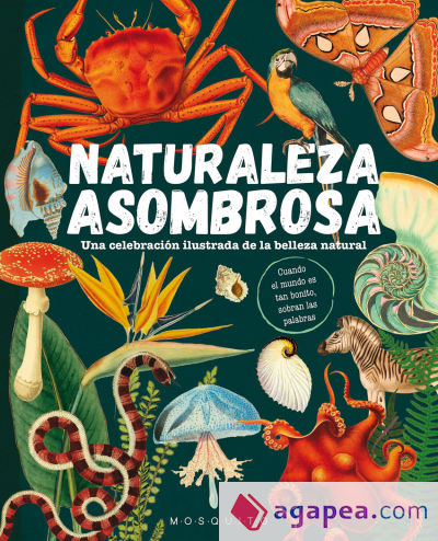 Naturaleza asombrosa