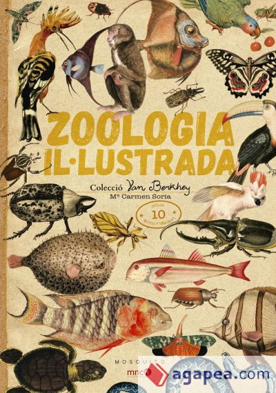 Zoologia il·lustrada