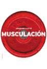 Musculación